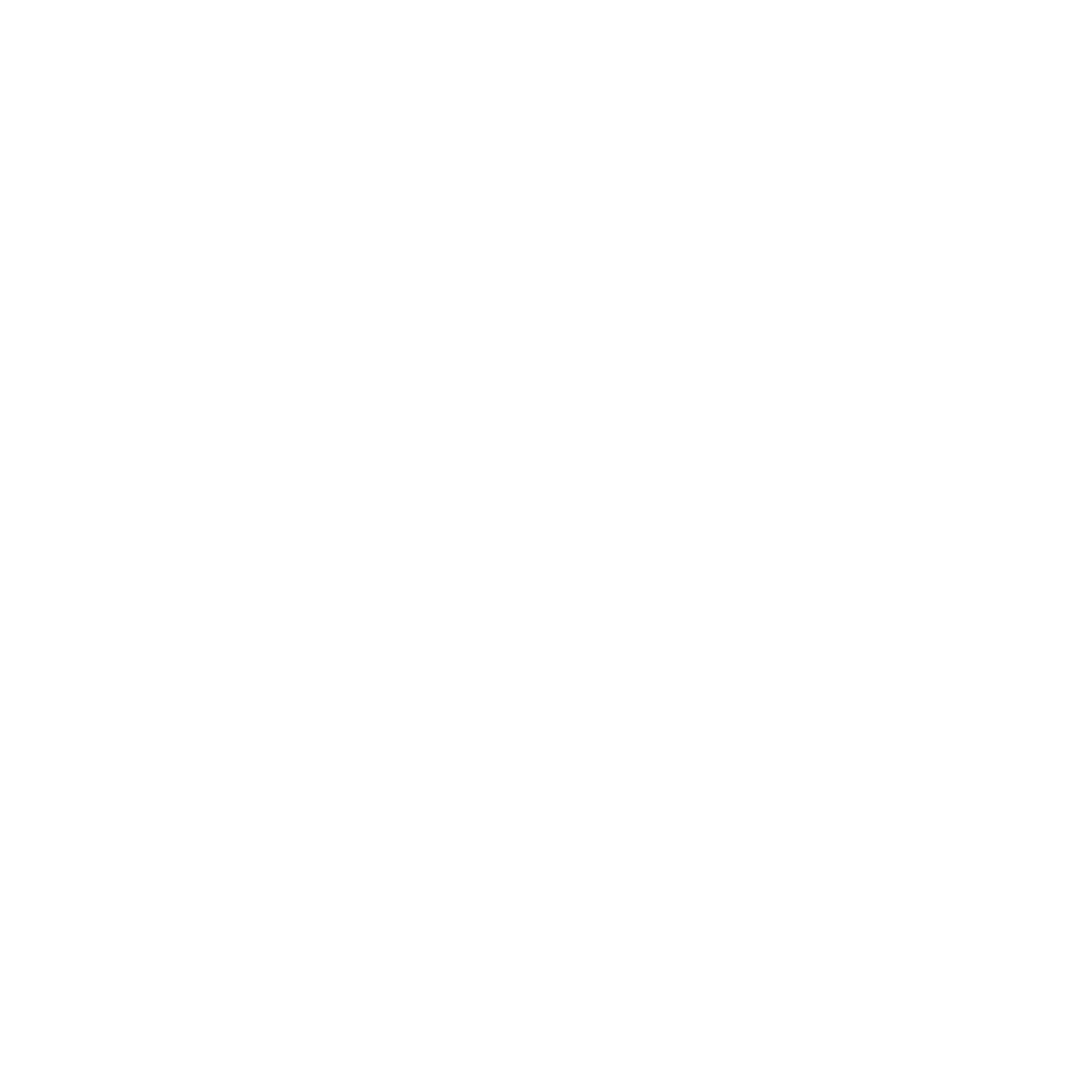 Smartnet Logo